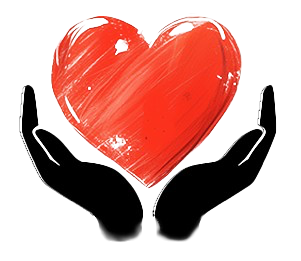 hs logo trans removebg preview